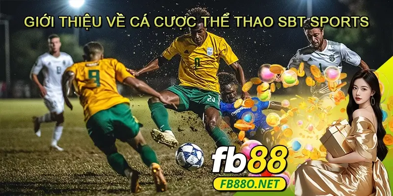 Giới thiệu về cá cược thể thao SBT Sports