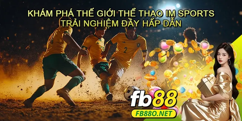 Khám Phá Thế Giới Thể Thao IM Sports - Trải Nghiệm Đầy Hấp Dẫn