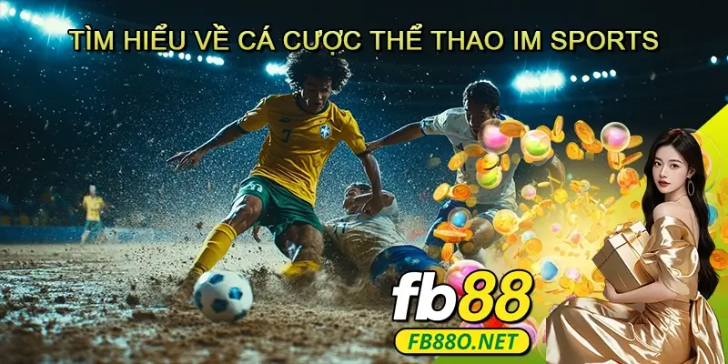 Tìm Hiểu Về Cá Cược Thể Thao IM Sports